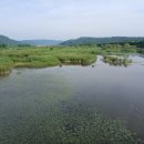 단산회관 | 대구 군위군 단산, 승목산, 용두산(1)