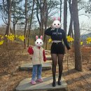 서울대공원 동물원 동양관 악어 원숭이 뱀 유모차
