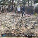 계수초등학교 이미지