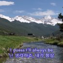 디퍼플 이미지