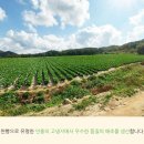 서하농장 이미지