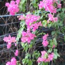 힐링여행 | 호치민 마사지 추천 : 완벽한 힐링 여행 후기