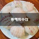 동해수산회집 | 야탑 고급해물오마카세 동해회수산 솔직후기 기록 :)