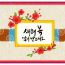 트리플카워시