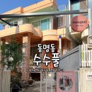 광주 데이트 코스 추천! 동명동 식물가게 수수풀에서 힐링하기❤