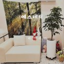 수도에너지(주) | 삼송 바디관리 추천｜예스테틱 테라노바 에너지테라피로 달라진 라인 케어 후기