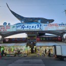 주문진회집 | 주문진횟집 일출횟집 대게회세트 포장후기