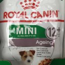 몽쁘띠끄 이미지