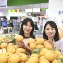 한아름유통 이미지