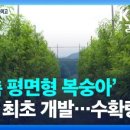전국개발 이미지