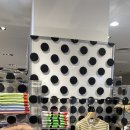 긴자에서의 하루 이미지