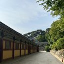 아는 만큼 보인다: 세계 건축여행 | 경주 불국사 세계문화유산 아는만큼 보인다