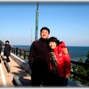 사직2동-11 Daum카페