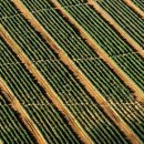 세종종합동물병원 이미지