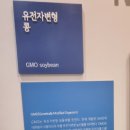 영주관광지 콩세계과학관 영주 아이와 가볼만한 곳 추천