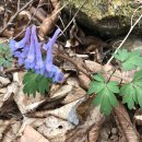 봉기목장 이미지