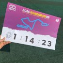 아디다스 군산점 | 2026 군산새만금마라톤 첫 10km 완주, 풀코스 1위 직관 후기