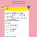 [내돈내산] 돌교구 아이교구 &#34;호비 아이챌린지&#34; 후기