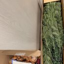 매료 | 소비기록) 매료 크리스마스 인형 트리 구매후기