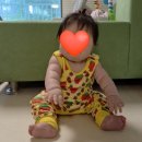 블랙74 | 26SS 던스 스웨덴 플레이수트 블랙딸기& 노랑딸기 74, 덩가리 68 구입 후기(6개월아기 착샷)