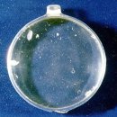 모전 안경 이미지