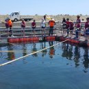 신창2리 어촌체험마을 이미지