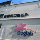 전북동물의료센터 이미지