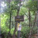 올레길 산림형 2코스 이미지