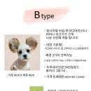 두부네사진관