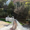 (주)뷰티셀렉션 | 셀렉션h와 함께한 웨딩촬영 후기