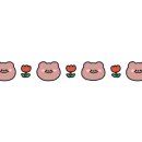 아루멍 그루밍 이미지