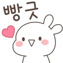 사파동206 이미지