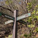 바람고개길 이미지