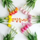 😘정많은예천방8️⃣월1️⃣2️⃣~1️⃣3️⃣~1️⃣4️⃣주말출부올립니다😘 이미지