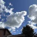 삼선9 | [텝스 시험 후기] 2025년 9월 20일 시험 - 삼선중학교 (텝스 390회)