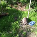 유성궁도장 이미지