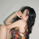 여우와섹시