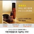 인셀덤 행복