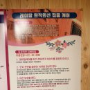 체온테라피 이미지