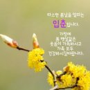 서빛마루시니어센터 이미지