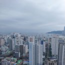 수소카페