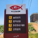 우강면보건지소 네이버블로그