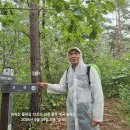 천상길 이미지