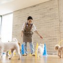 수제산업동물병원 이미지