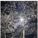 천마태권도장 이미지