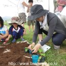 토정마을 이미지