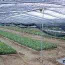 남산농원 이미지