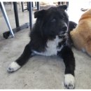 너와함개냥 이미지