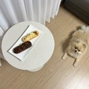 폴린디 이미지