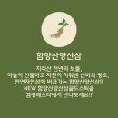 함양산삼직거래사업단